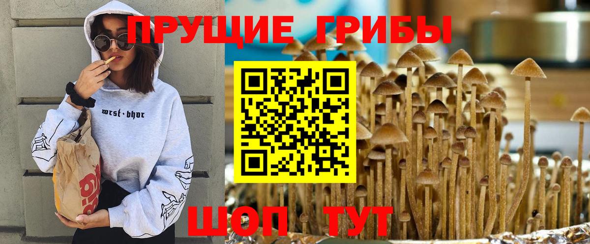 Галлюциногенные грибы мухоморы Бахчисарай