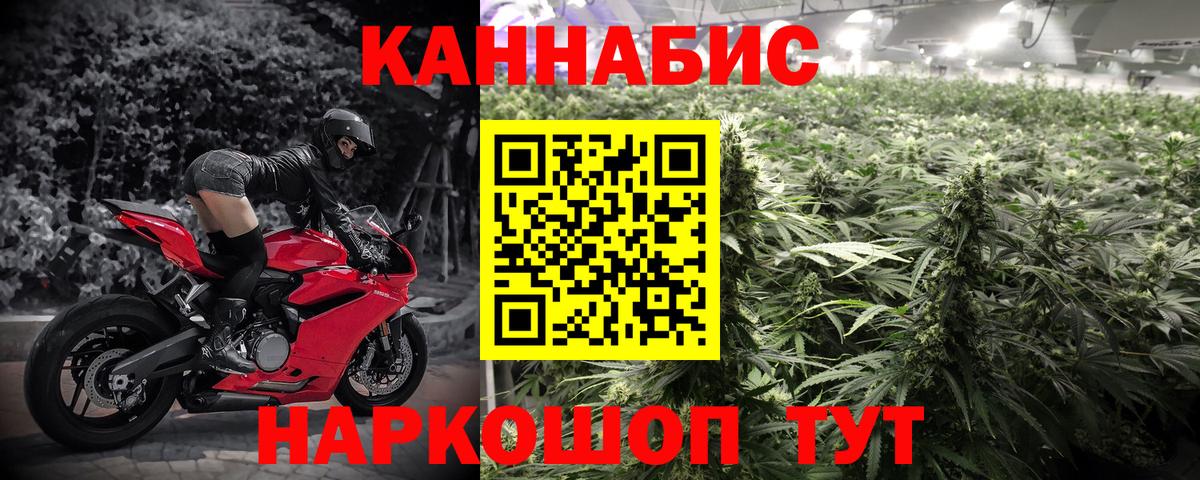 Конопля MAZAR Бахчисарай